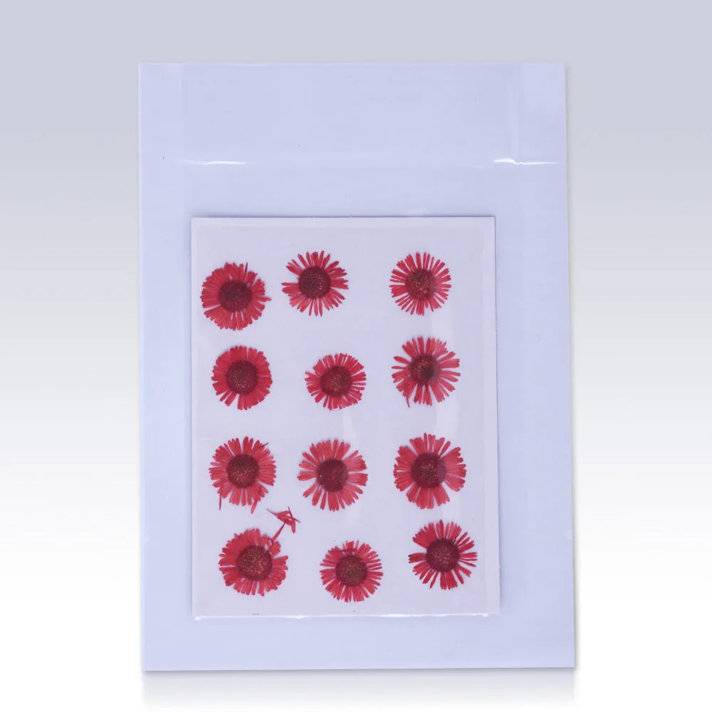 12pcs Dried Real Pressed Flower Stickers dyed pressed flower for phone case,paper goods