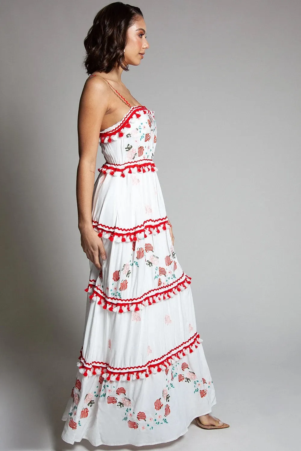 Floral Embroidered Sleeveless Floral Print Maxi Dress