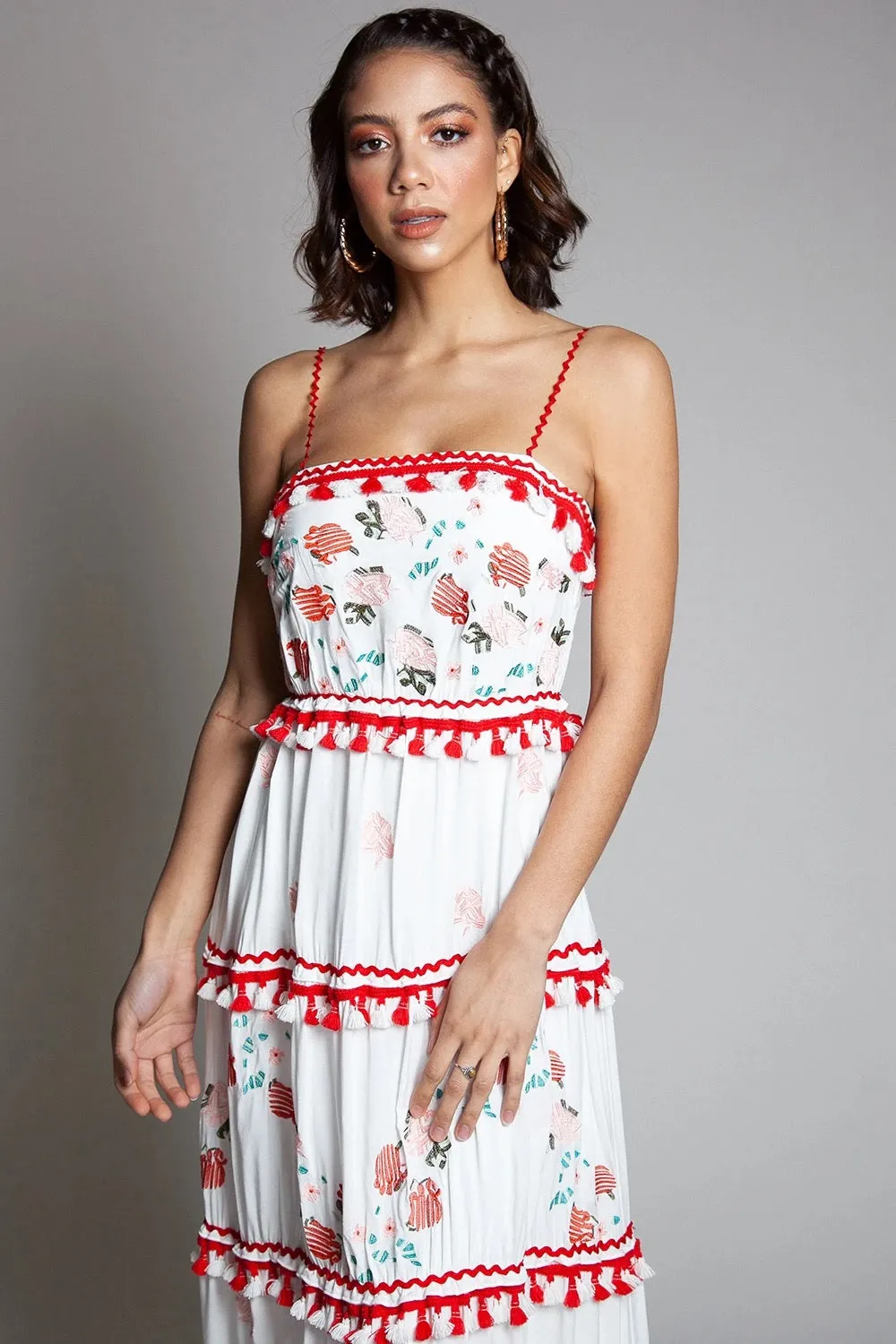 Floral Embroidered Sleeveless Floral Print Maxi Dress