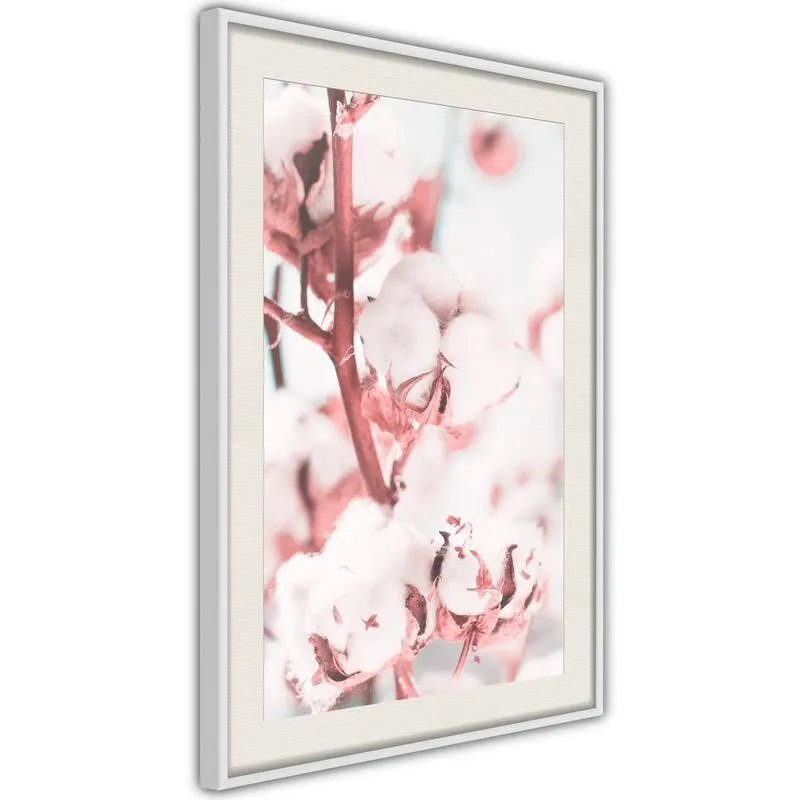 Poster Cotton Flowers