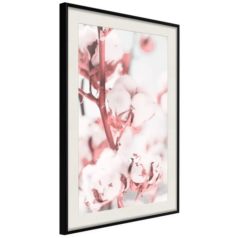 Poster Cotton Flowers