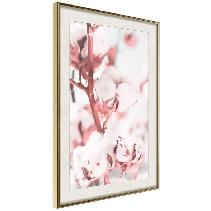 Poster Cotton Flowers